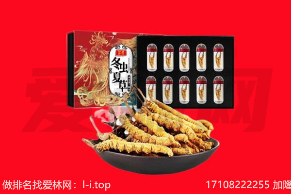 宁波北仑区回收虫草.jpg